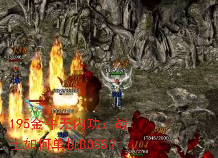 195金牛无内功:战士如何单挑BOSS? 195金牛无内功:战士如何单挑BOSS?