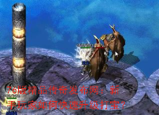 76版精品传奇发布网:新手玩家如何快速升级打宝? 76版精品传奇发布网:新手玩家如何快速升级打宝?