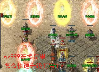 wg999�ڴ�������ô���������򱦣�