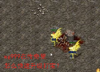 wg999�ڴ�������ô���������򱦣�