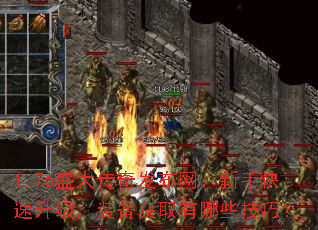 1.76ʢ���淢���������ֿ���������װ����ȡ����Щ���ɣ�