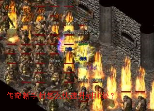 传奇新手村怎么快速升到10级? 传奇新手村怎么快速升到10级?