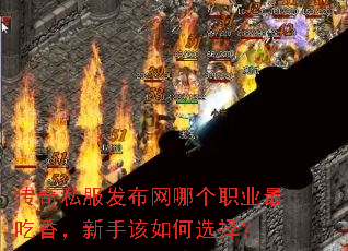 传奇私服发布网哪个职业最吃香,新手该如何选择? 传奇私服发布网哪个职业最吃香,新手该如何选择?