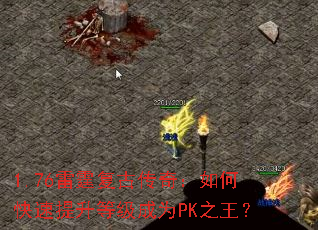 1.76�������Ŵ��棺��ο��������ȼ���ΪPK֮����