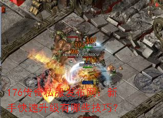 176����˽�������������ֿ�����������Щ���ɣ�