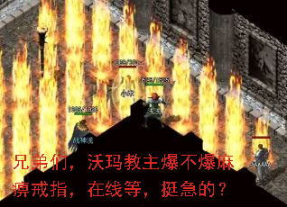 兄弟们,沃玛教主爆不爆麻痹戒指,在线等,挺急的? 兄弟们,沃玛教主爆不爆麻痹戒指,在线等,挺急的?