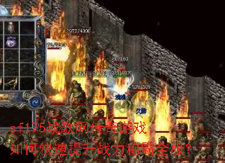 sf175ս����������Ϸ����ο�������ս���ư�ȫ����