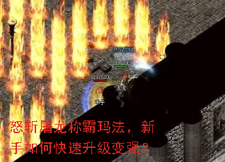 ŭն�����ư��귨��������ο���������ǿ��