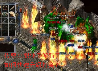 ���浥ְҵ����������ο����������