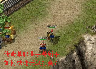 ���浥ְҵ����������ο����������