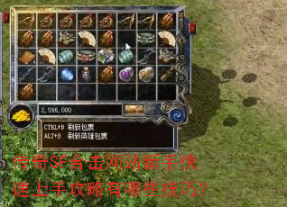����SF�ϻ���վ���ֿ������ֹ�������Щ���ɣ�
