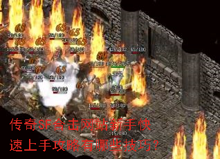 ����SF�ϻ���վ���ֿ������ֹ�������Щ���ɣ�