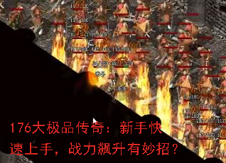 176��Ʒ���棺���ֿ������֣�ս����������У�