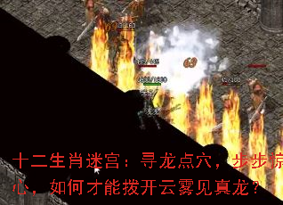 ʮ����Ф�Թ���Ѱ����Ѩ���������ģ���β��ܲ���������������