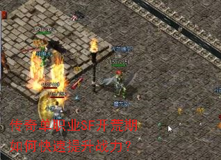 ���浥ְҵSF��������ο�������ս����