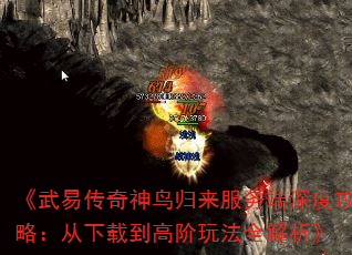 《武易传奇神鸟归来服务端深度攻略:从下载到高阶玩法全解析》 《武易传奇神鸟归来服务端深度攻略:从下载到高阶玩法全解析》