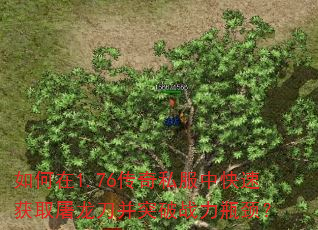 �����1.76����˽���п��ٻ�ȡ��������ͻ��ս��ƿ����
