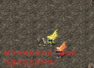 �¿�����˽���տ�һ����ο�����������BOSS��