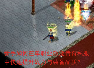 ��������ڵ�ְҵ΢�䴫��˽���п�������ս����װ��Ʒ�ʣ�