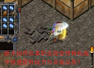 ��������ڵ�ְҵ΢�䴫��˽���п�������ս����װ��Ʒ�ʣ�