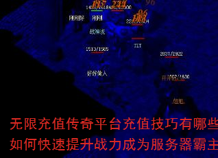 ���޳�ֵ����ƽ̨��ֵ��������Щ����ο�������ս����Ϊ������������