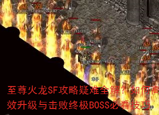 �������SF��������ȫ�⣿��θ�Ч����������ռ�BOSS�ؿ�����