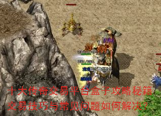 ʮ���潻��ƽ̨���ӹ����ؼ����׼����볣��������ν����