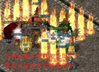 ����˽������Ǯ���������������湥��ȫ����