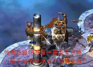 ����˽��SF����һ����ȫ���ԣ�������ο������ֳư�ȫ����