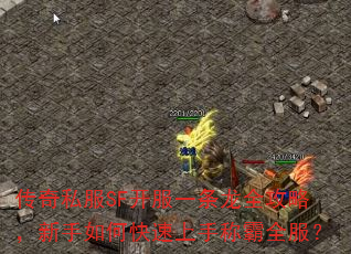 传奇私服SF开服一条龙全攻略,新手如何快速上手称霸全服? 传奇私服SF开服一条龙全攻略,新手如何快速上手称霸全服?