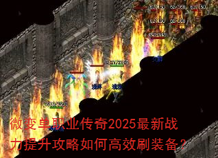 ΢�䵥ְҵ����2025����ս������������θ�Чˢװ����