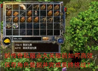 新传奇私服永久关服前如何高效保存角色数据并完成最终挑战? 新传奇私服永久关服前如何高效保存角色数据并完成最终挑战?