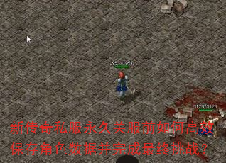 新传奇私服永久关服前如何高效保存角色数据并完成最终挑战? 新传奇私服永久关服前如何高效保存角色数据并完成最终挑战?