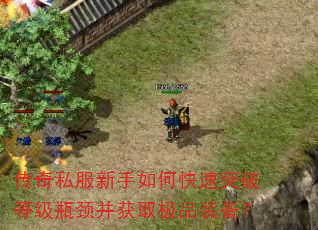 传奇私服新手如何快速突破等级瓶颈并获取极品装备? 传奇私服新手如何快速突破等级瓶颈并获取极品装备?