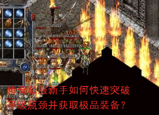 传奇私服新手如何快速突破等级瓶颈并获取极品装备? 传奇私服新手如何快速突破等级瓶颈并获取极品装备?