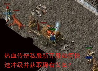 ��Ѫ����˽���¿�����ο��ٳ弶����ȡϡ��װ����
