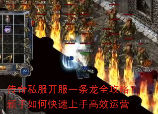 ����˽������һ����ȫ���ԣ�������ο������ָ�Ч��Ӫ