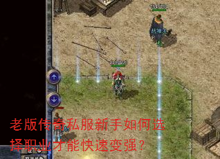 �ϰ洫��˽���������ѡ��ְҵ���ܿ��ٱ�ǿ��