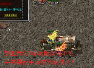 ��Ѫ����8�����������ز��������ָ�Ч�������ɣ�