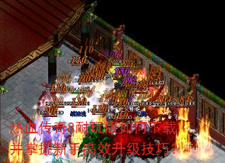 ��Ѫ����8�����������ز��������ָ�Ч�������ɣ�
