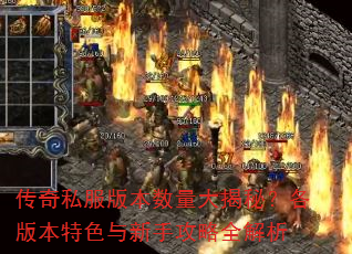 传奇私服版本数量大揭秘?各版本特色与新手攻略全解析 传奇私服版本数量大揭秘?各版本特色与新手攻略全解析