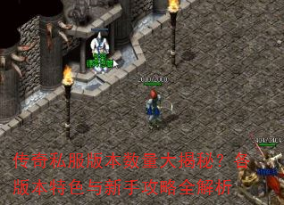传奇私服版本数量大揭秘?各版本特色与新手攻略全解析 传奇私服版本数量大揭秘?各版本特色与新手攻略全解析