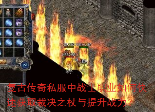 ���Ŵ���˽����սʿְҵ��ο��ٻ�ȡ�þ�֮��������ս����
