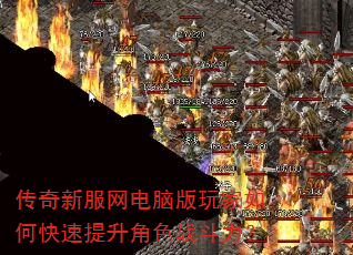 ����˽�������԰������ο���������ɫս������