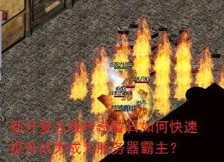 �¿����Ű洫��������ο�������ս����Ϊ������������