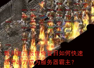�¿����Ű洫��������ο�������ս����Ϊ������������