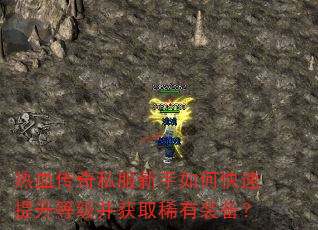 ��Ѫ����˽��������ο��������ȼ�����ȡϡ��װ����