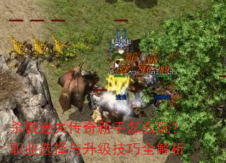 ɱ¾��ʧ����������ô�棿ְҵѡ������������ȫ����
