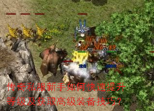 传奇私服新手如何快速提升等级及获取高级装备技巧? 传奇私服新手如何快速提升等级及获取高级装备技巧?
