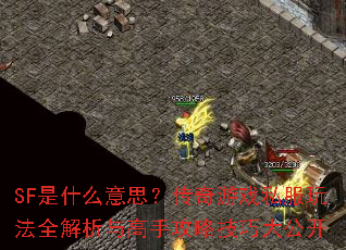 SF是什么意思?传奇游戏私服玩法全解析与高手攻略技巧大公开 SF是什么意思?传奇游戏私服玩法全解析与高手攻略技巧大公开